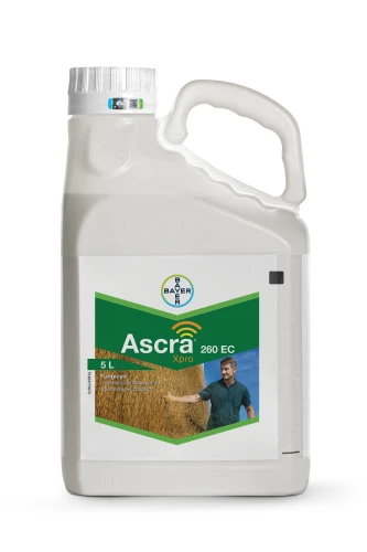 AscraXpro_kanister-5l-RGB.jpg