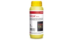 CARYX 240 SL  1L