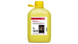 CARYX 240 SL  5L