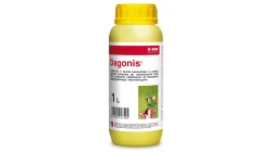 DAGONIS 1L