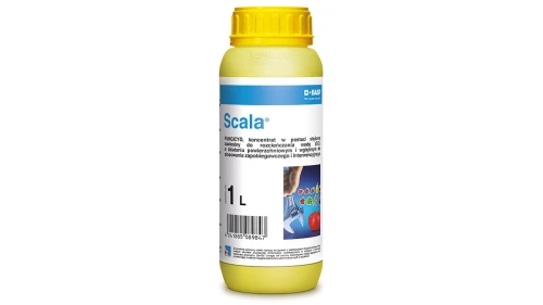 PACKSHOT-20-1200x675px-Scala-1L.jpg