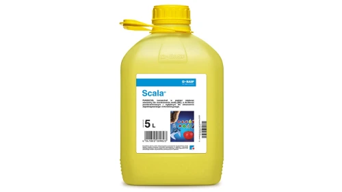 PACKSHOT-20-1200x675px-Scala-5L.jpg
