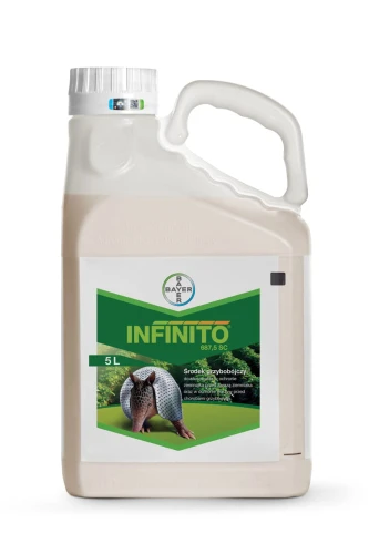 Infinito_kanister-5l-sklep.jpg