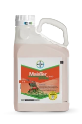 MAISTER POWER 42,5 OD 5L