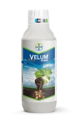 VELUM PRIME 1 L