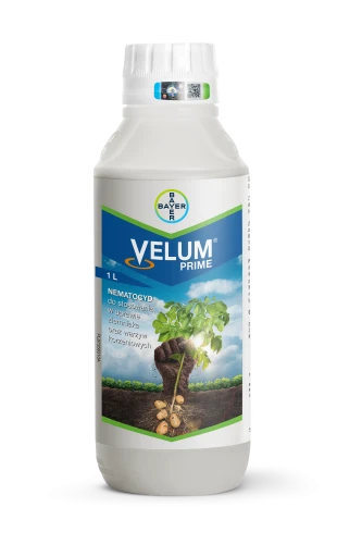Velum_1l.png