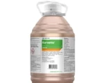 KORVETTO 5L