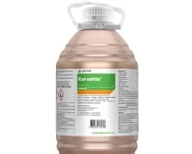 KORVETTO 5L.jpg