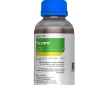 PIXXARO 0,5 L
