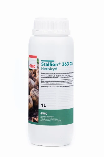 Stallion 1 l.jpg