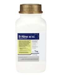 B-NINE 85 SG 1 KG