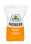 Kukurydza Pioneer P8888 80 tyś nasion FAO 290