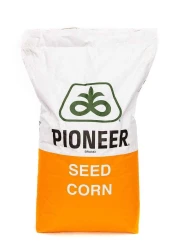 Kukurydza Pioneer P92841 AQ 80 tyś nasion FAO 260/270